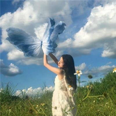 狄小肆之幽冥飞狼
